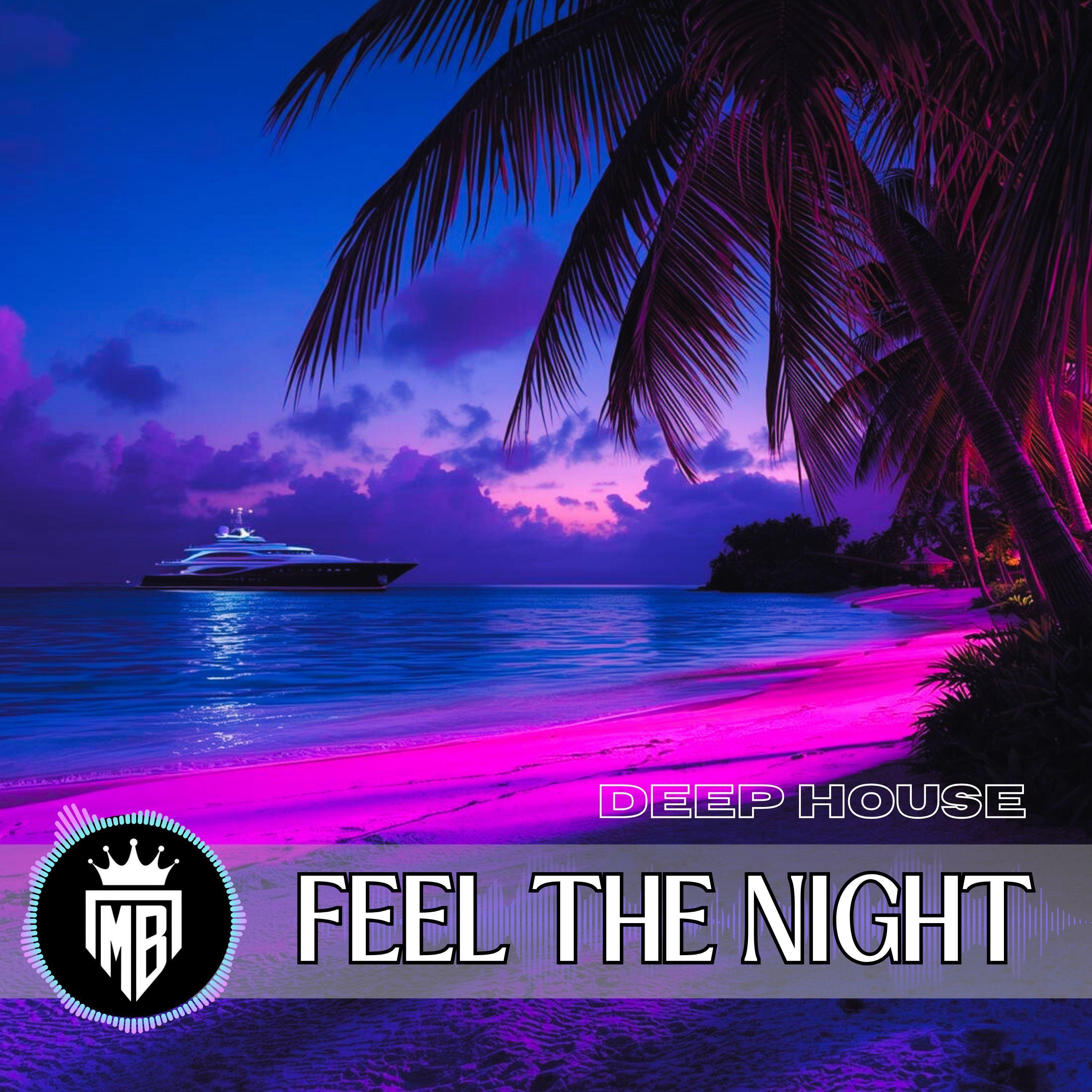 Feel The Night - Single