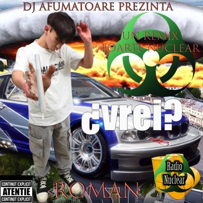 ROMAN (feat. ultranhedonia) [DJ Afumatoare Remix] - Single