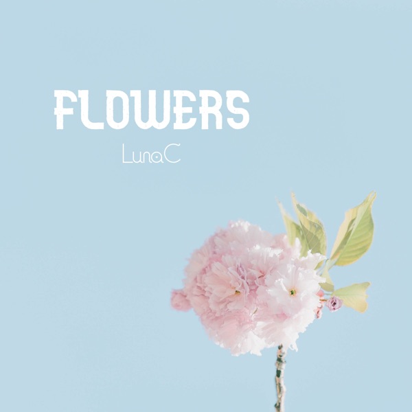 Flowers - Single