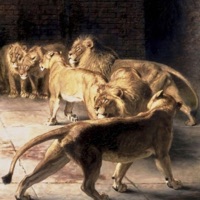 no hate - Single - stupidbrain