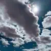 Free Forever