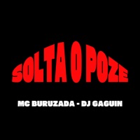 Solta o Poze - Single - MC Buruzada & DJ GAGUIN