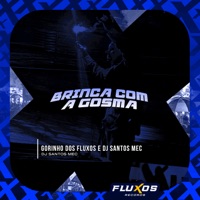 Brinca Com a Gosma - Single - Gordinho Dos Fluxos