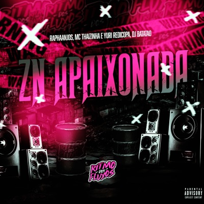 ZN Apaixonada (feat. DJ Batatão) - Single