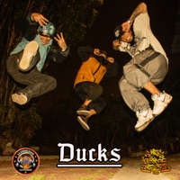 Ducks - Single - La Union Hace La Fuerza Z5, Guerrero Nativo, Zarko clandstino & Nixon Dbk
