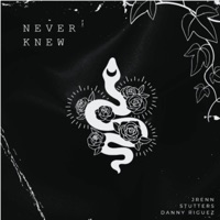 Never Knew (feat. Danny Riguez) - Single - Stutters, Jrenn & Danny Riguez