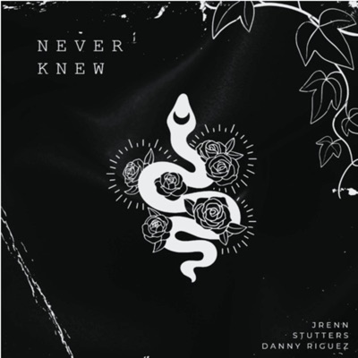 Never Knew (feat. Danny Riguez) - Single