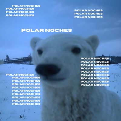 POLAR NOCHES - Single