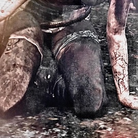 ill never forget you (feat. caine) almostforeverr