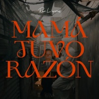 Mamá Tuvo Razón (feat. Rau Lauren) - Single - Jeyzas