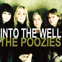 Into the Well by The Poozies on Apple Music