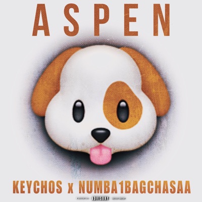 ASPEN (feat. Numba1bagchasaa) - Single