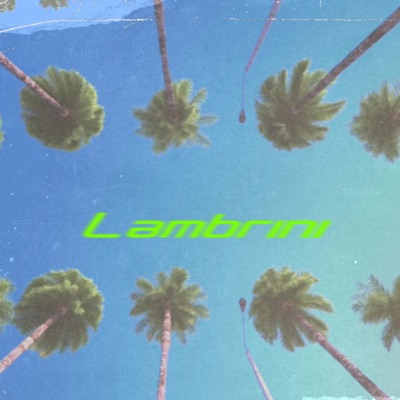 Lambrini (feat. Big donzz) - Single
