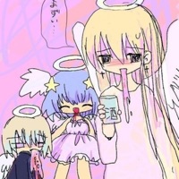 24 sedatives - Single - kratom chan