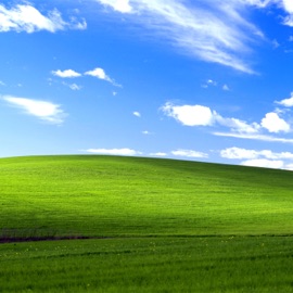 Otherwise You'll See Me In Hell nekoAce