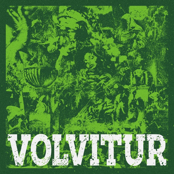 Volvitur