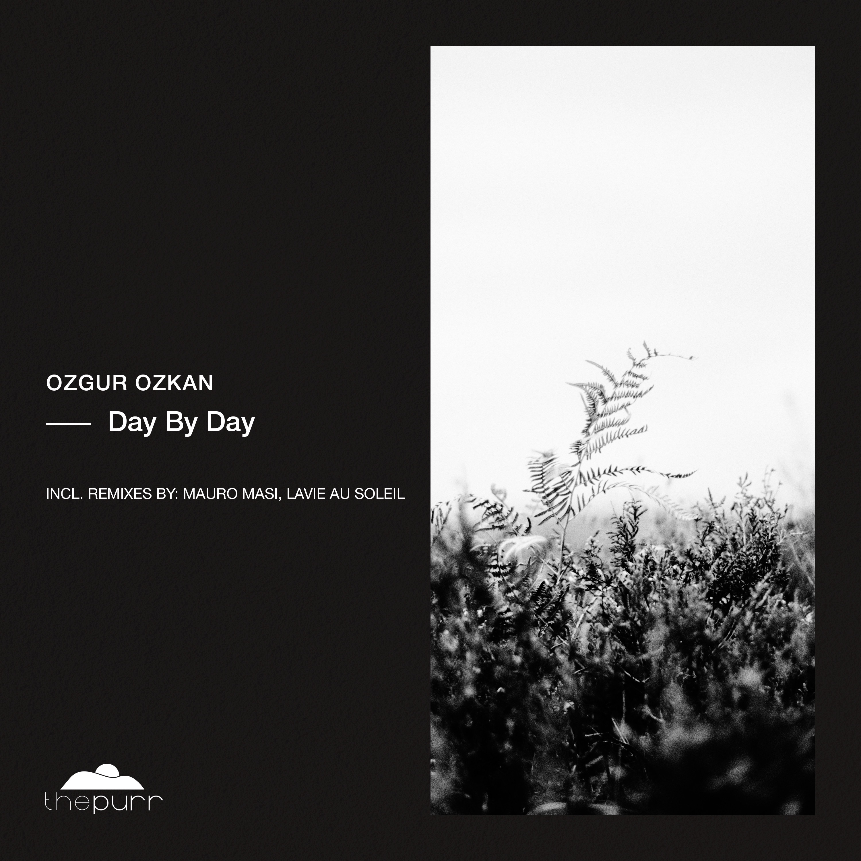 Day By Day - Single