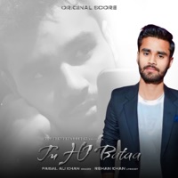 Tu Hi Bataa - Single - Faisal Ali Khan