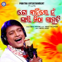 To Nahin Re Han Bhari Mitha Laguchhi - Single - Bibhu Kishore