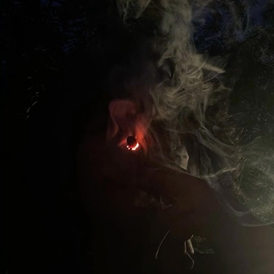 Two dawg alliance - Single