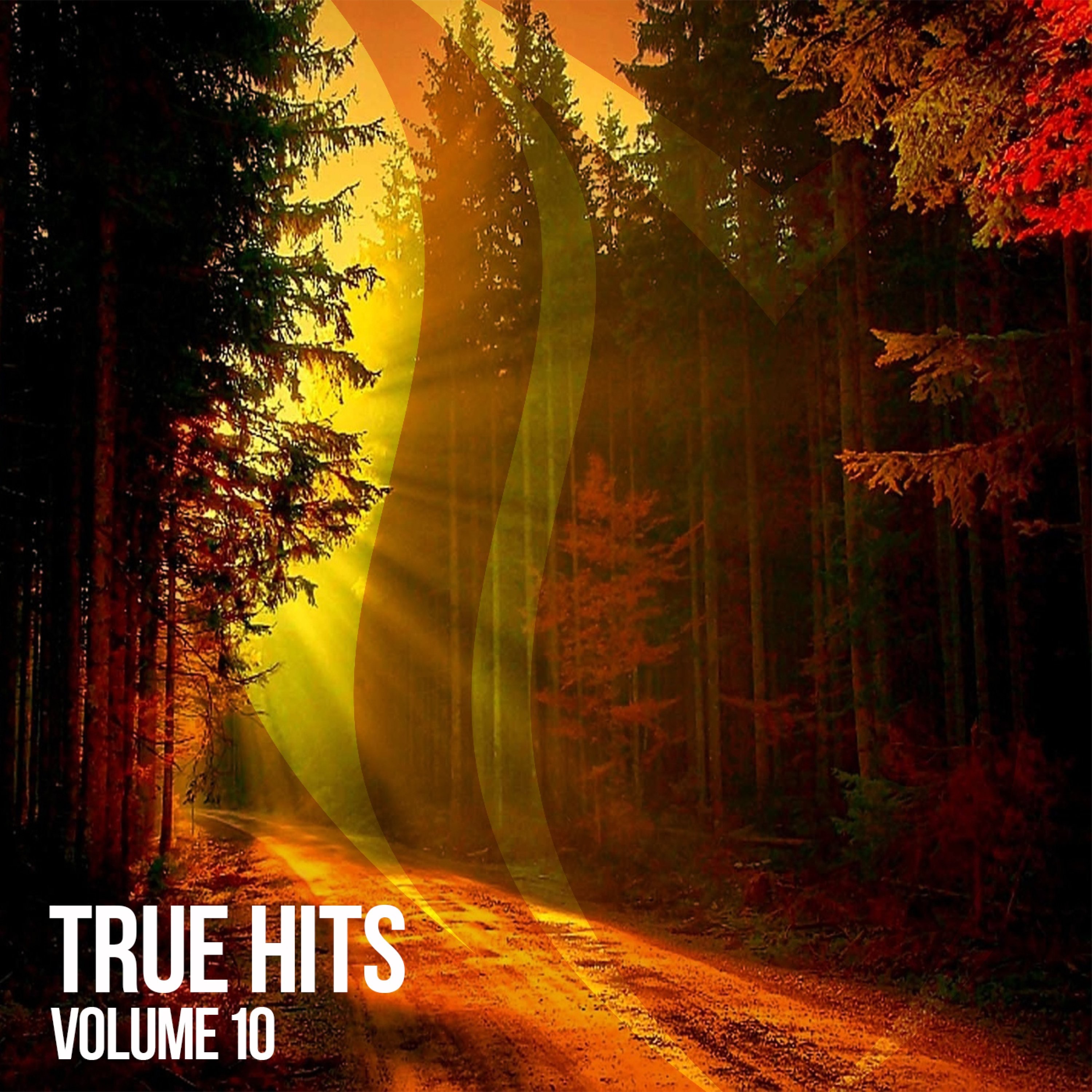 True Hits, Vol. 10