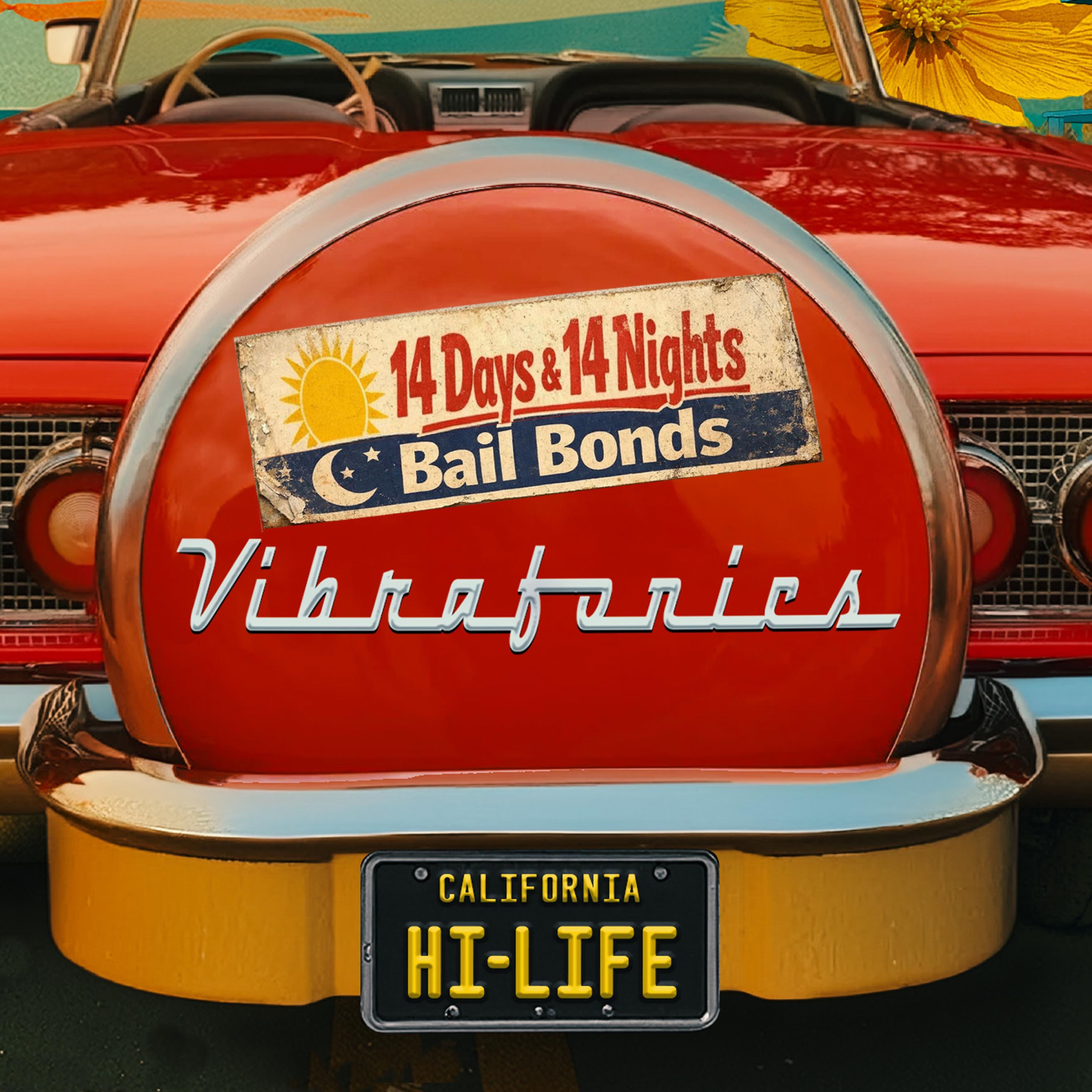 Vibrafonics - 14 Days and 14 Nights