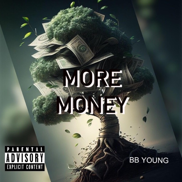 Money Fine