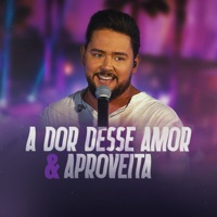 A Dor Desse Amor / Aproveita (Cover) - Single - Pablo Henrique Flores