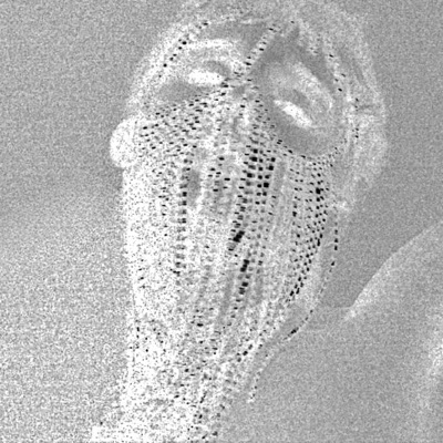 FIXATION (EXTENDED) - EP