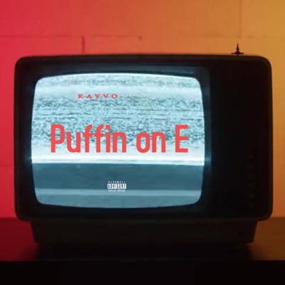 Puffin on E - Single