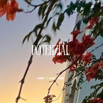potenzial (feat. PAMO) - Single