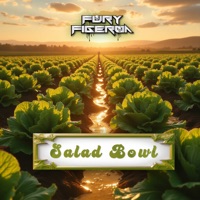 Salad Bowl (Radio Edit) - Single - Fury Figeroa