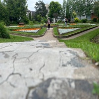 Hospital Album, Vol. 3 (STAB I LITTY) - Single - Lil Tree Treezy