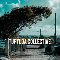 Album cover for Mora by Turtuga Collective