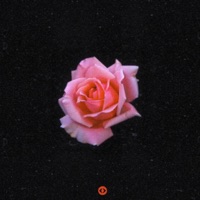 To You - Single - Maxx Lyon