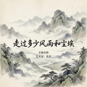 走过多少风雨和尘埃