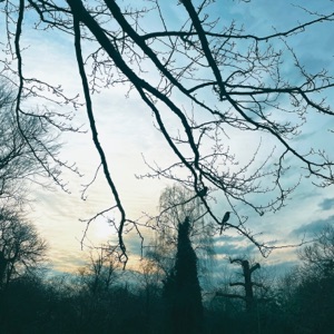 Rainy Bride - Single