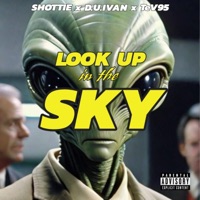 Look Up in the Sky - Single - D.U.Ivan, Shottie & Tev95