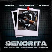Senorita (feat. Tellapee, DJ Walgee, Piano Disciples & Locco Musiq) - Single - Real Nox, KayGee The Vibe & Deep Sen