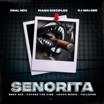 Senorita (feat. Tellapee, DJ Walgee, Piano Disciples & Locco Musiq) - Single