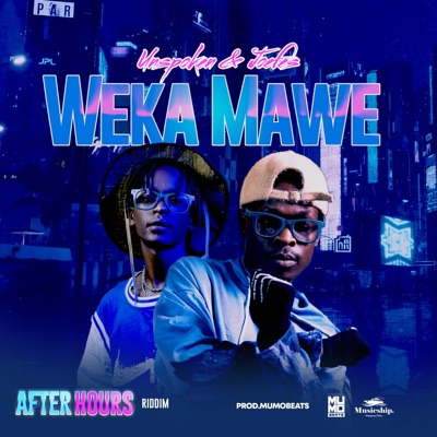 Weka mawe - Single