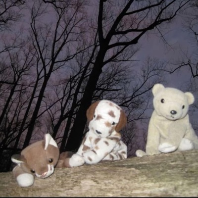 girlswag ass hoe - Single