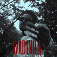 Wadi no 4 (feat. Afkap) - Single - Leo25
