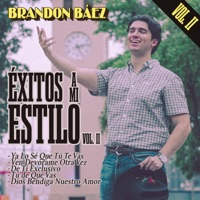Éxitos a Mi Estilo, Vol. 2 - EP - Brandon Báez