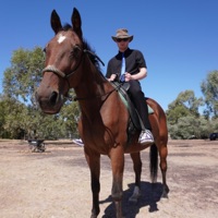 horses - Single - TONYY