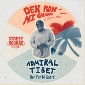 Deh Pon Mi Guard (feat. Street Rockaz Family) song art