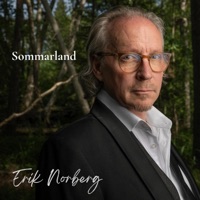 Sommarland (feat. Peter Asplund) - Single - Erik Norberg