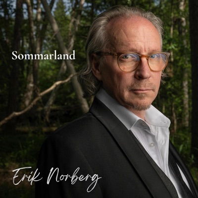Sommarland (feat. Peter Asplund) - Single
