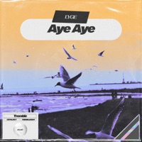 Aye Aye - Single - Lyge