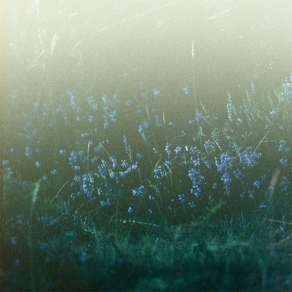 I Hope You’re Happy - Single